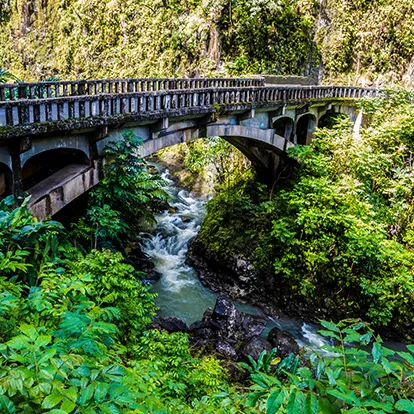 Bridge Over Wailua Nui Stream at Upper Waikani Falls